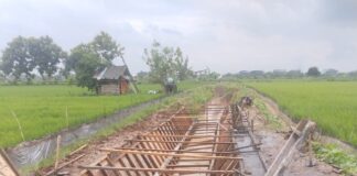 Pelaksanaan Inpres 2 tahap II, Bbws solo, di Gresik dan Lamongan perlu Gerakan percepatan .