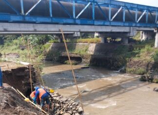 Pemeliharaan Sungai Kedung larangan Kolursari Bangil, memproteksi Erosi dan Longsor.